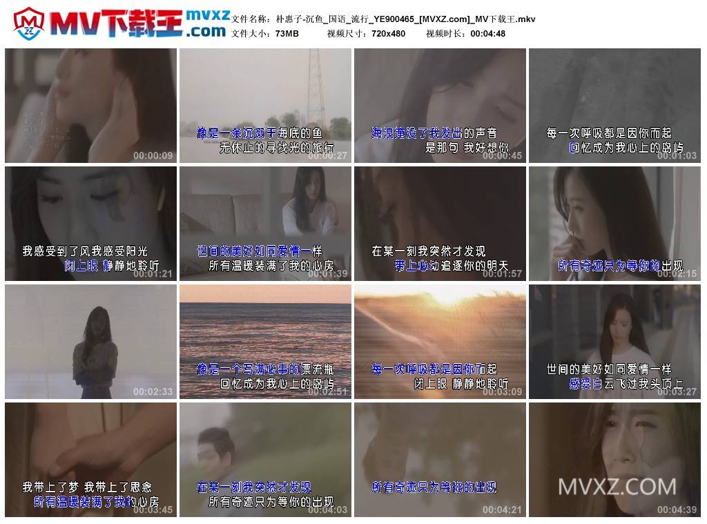 朴惠子-沉鱼_国语_流行_YE900465